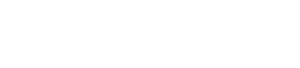 fortinet fortinet