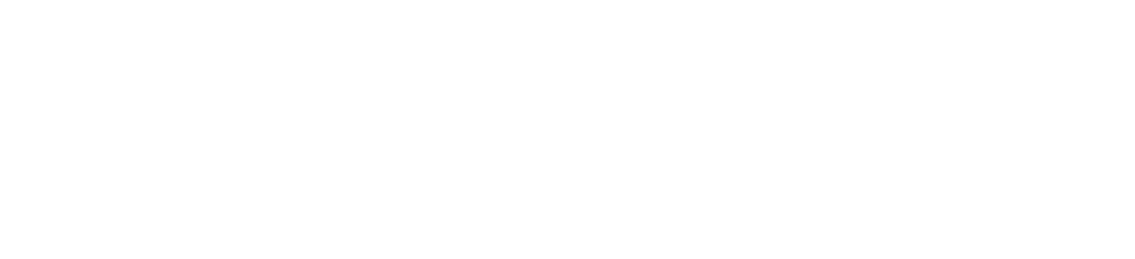 gemini gemini